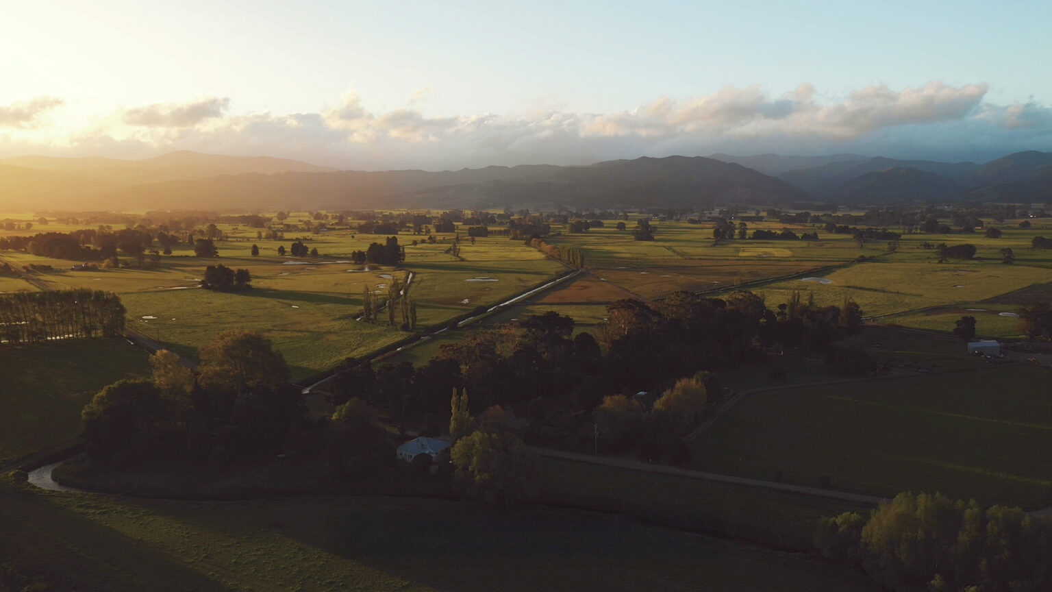 View of fields and vineyards in early morning with hills in the background