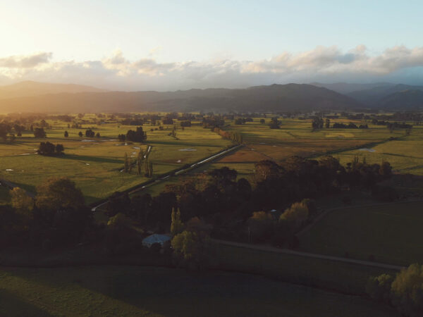 View of fields and vineyards in early morning with hills in the background