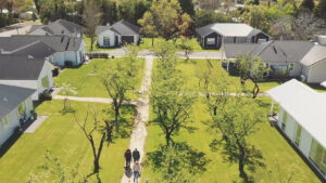 Aerial shot of people walking on a path through fruit trees